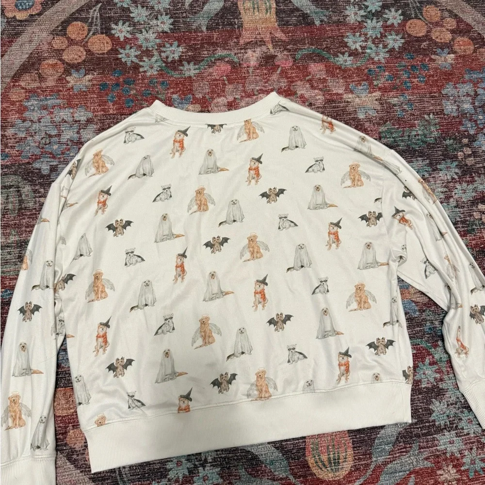 Z supply hey boo Halloween dog shorts and long sleeve set - Picture 7 of 7